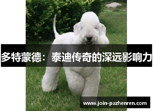 /uploads/images/20250718/duo-te-meng-de-tai-di-chuan-qi-de-shen-yuan-ying-xiang-li.webp